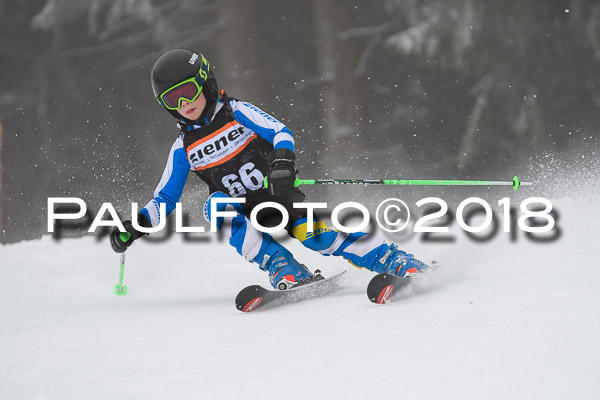 3. Ziener Cup RS