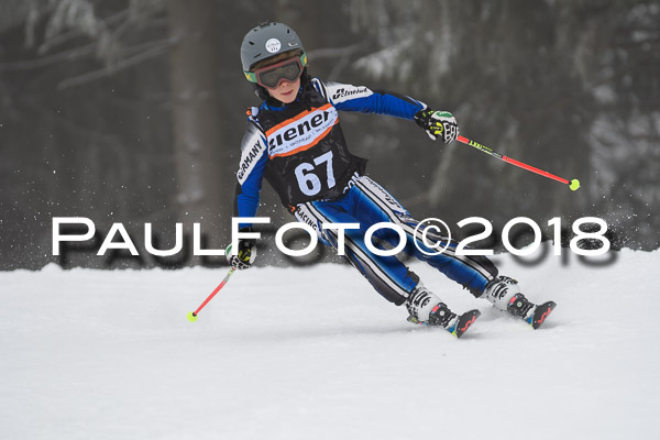 3. Ziener Cup RS