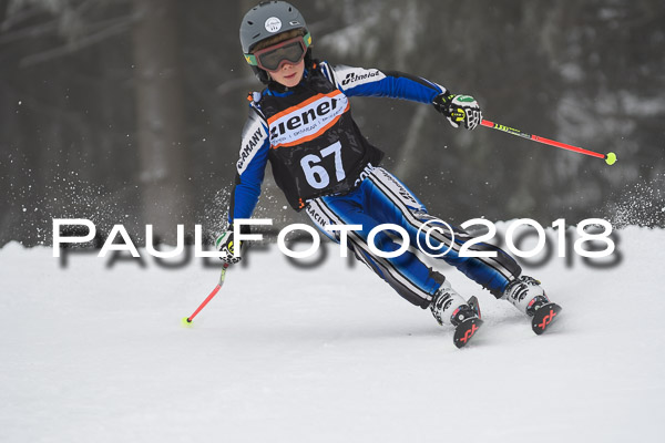 3. Ziener Cup RS