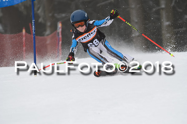 3. Ziener Cup RS