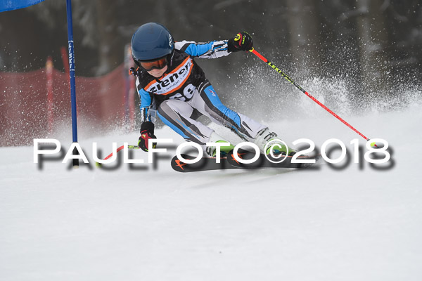 3. Ziener Cup RS