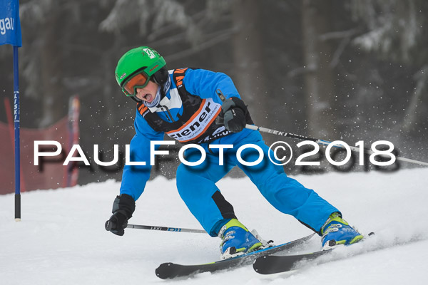3. Ziener Cup RS