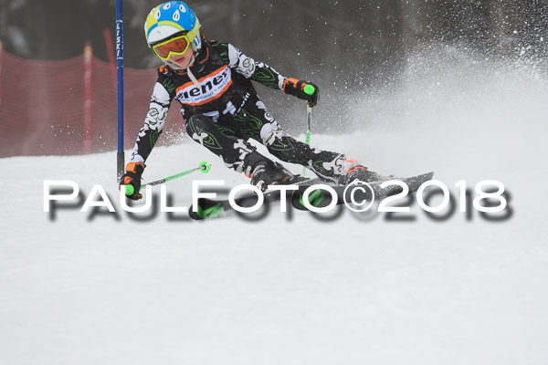 3. Ziener Cup RS