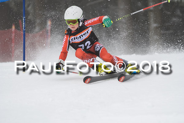 3. Ziener Cup RS