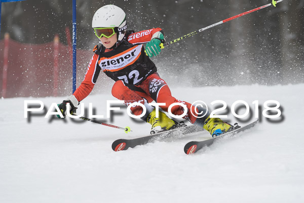 3. Ziener Cup RS