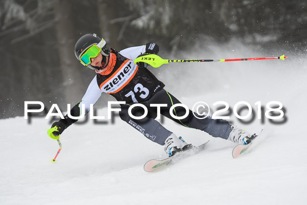 3. Ziener Cup RS