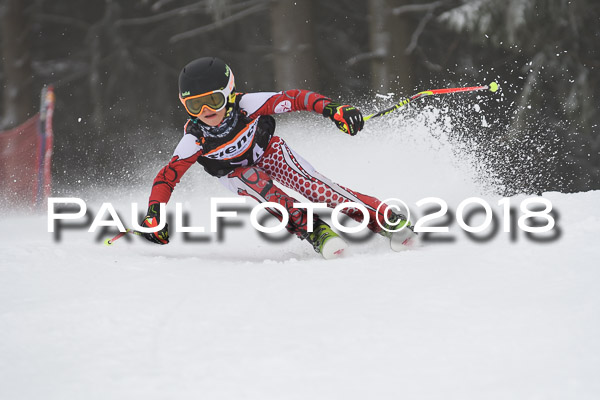 3. Ziener Cup RS