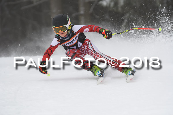 3. Ziener Cup RS