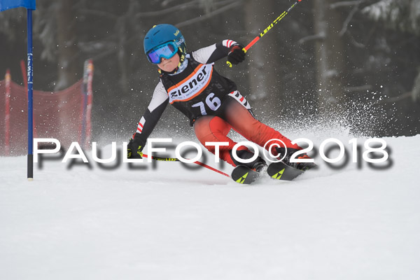3. Ziener Cup RS