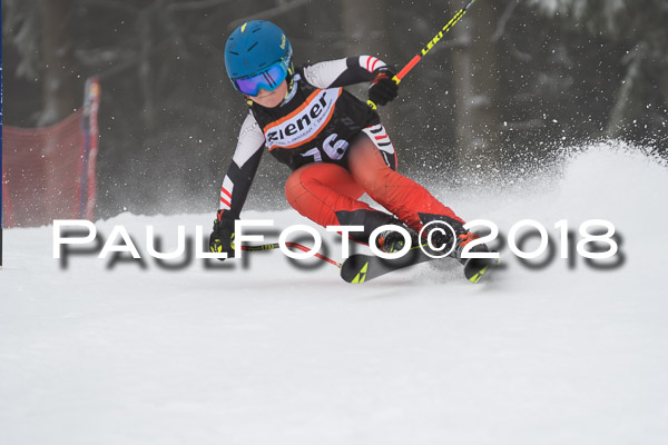 3. Ziener Cup RS