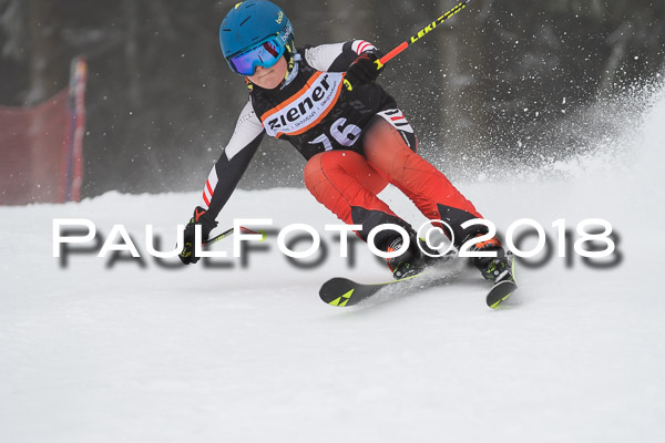 3. Ziener Cup RS