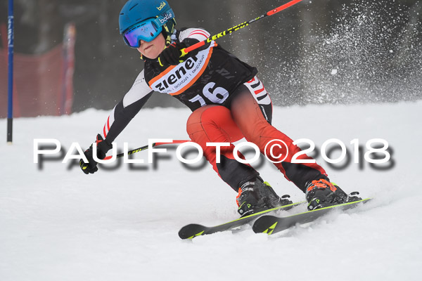 3. Ziener Cup RS