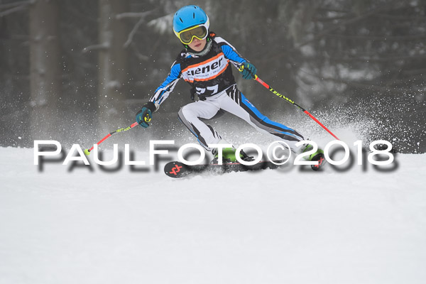 3. Ziener Cup RS