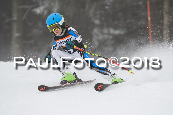 3. Ziener Cup RS