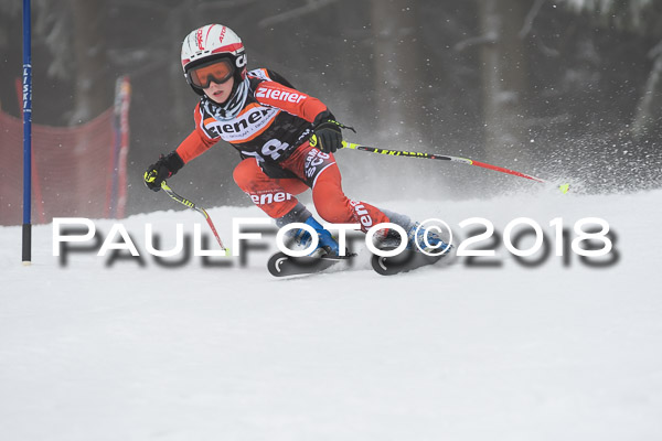 3. Ziener Cup RS