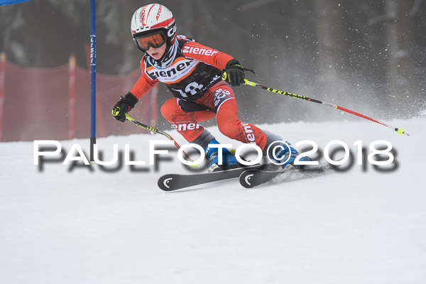 3. Ziener Cup RS