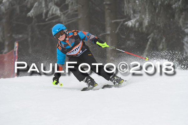 3. Ziener Cup RS