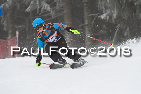 3. Ziener Cup RS