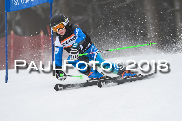 3. Ziener Cup RS