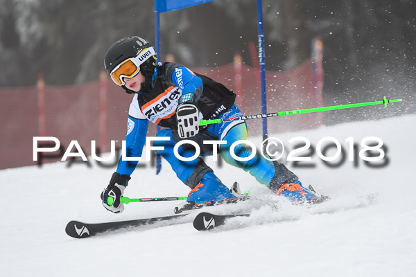 3. Ziener Cup RS
