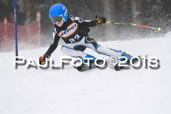 3. Ziener Cup RS