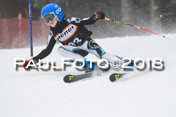 3. Ziener Cup RS