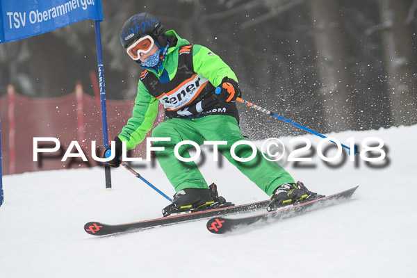 3. Ziener Cup RS