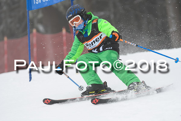 3. Ziener Cup RS