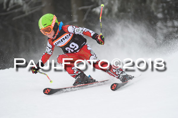 3. Ziener Cup RS