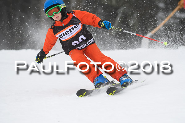 3. Ziener Cup RS
