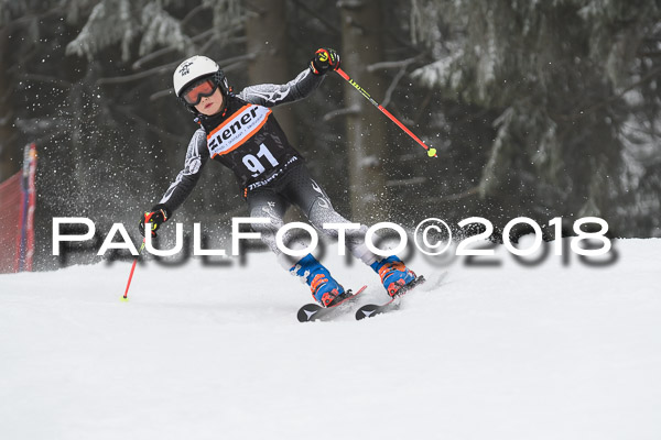 3. Ziener Cup RS