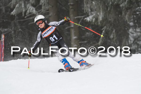 3. Ziener Cup RS