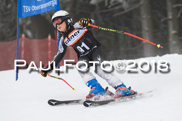 3. Ziener Cup RS