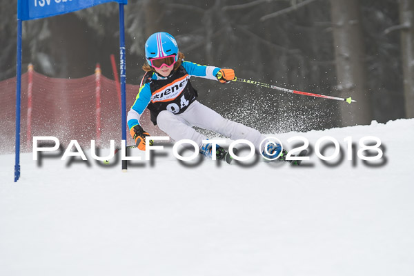 3. Ziener Cup RS