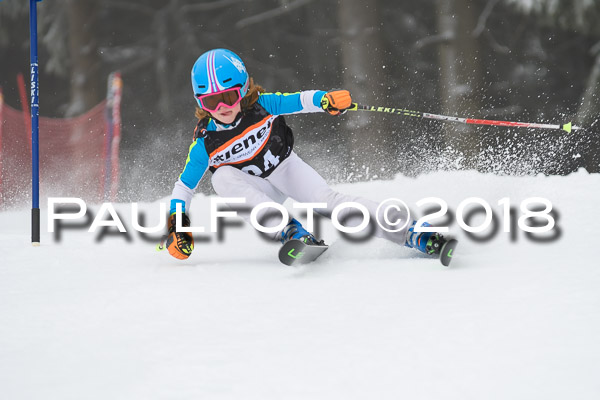 3. Ziener Cup RS