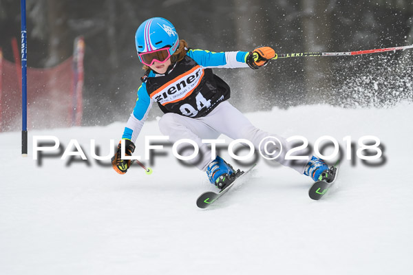3. Ziener Cup RS