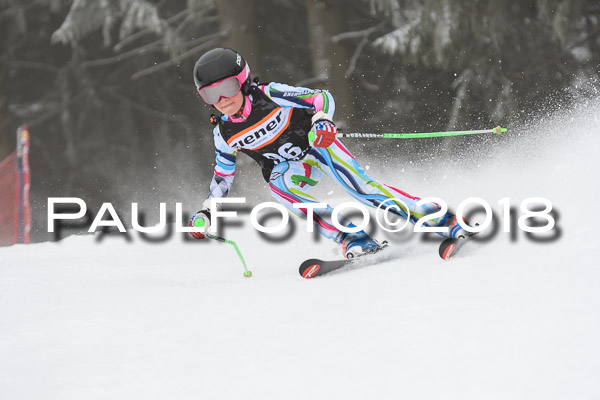 3. Ziener Cup RS