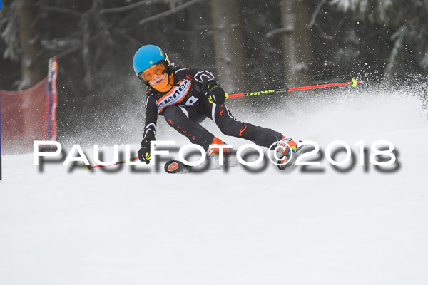 3. Ziener Cup RS