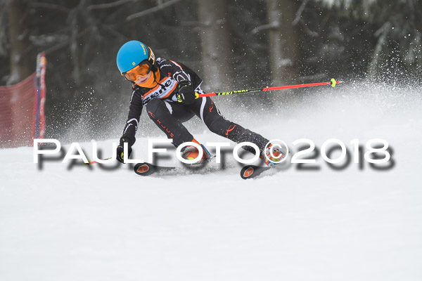 3. Ziener Cup RS
