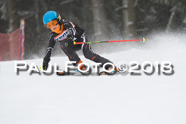 3. Ziener Cup RS