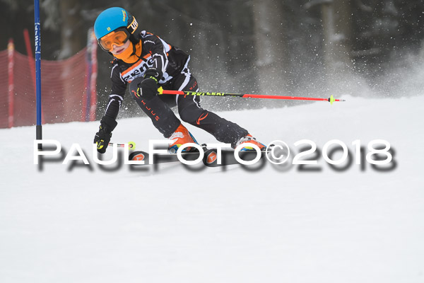3. Ziener Cup RS