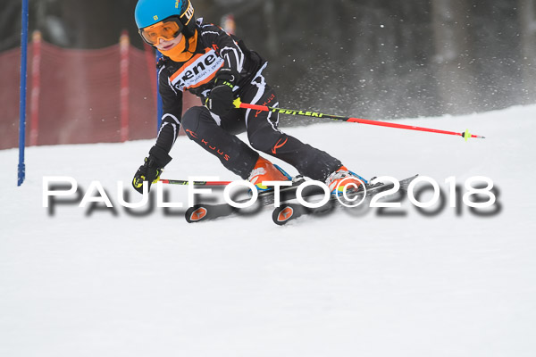 3. Ziener Cup RS