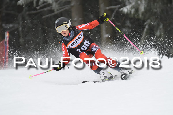 3. Ziener Cup RS