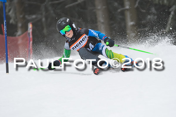3. Ziener Cup RS