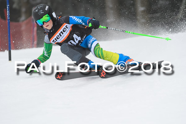 3. Ziener Cup RS