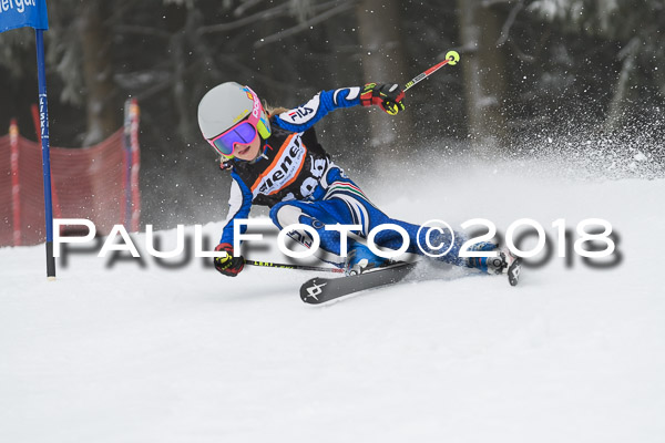 3. Ziener Cup RS