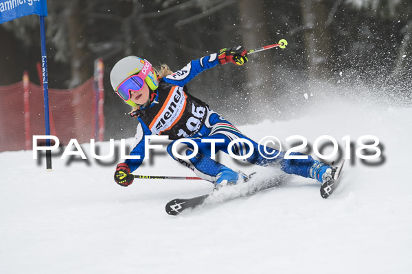 3. Ziener Cup RS