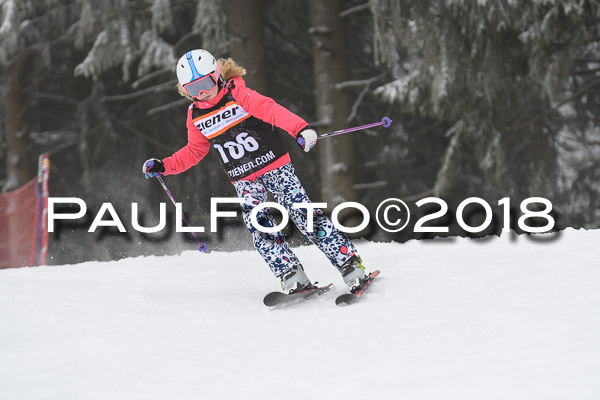 3. Ziener Cup RS