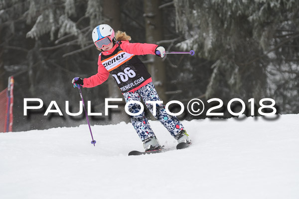 3. Ziener Cup RS