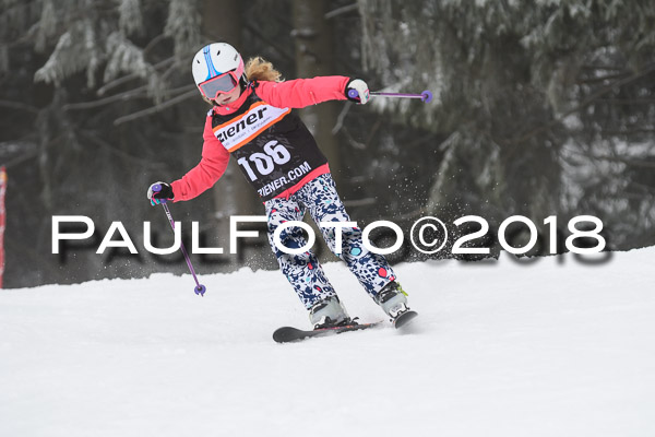 3. Ziener Cup RS
